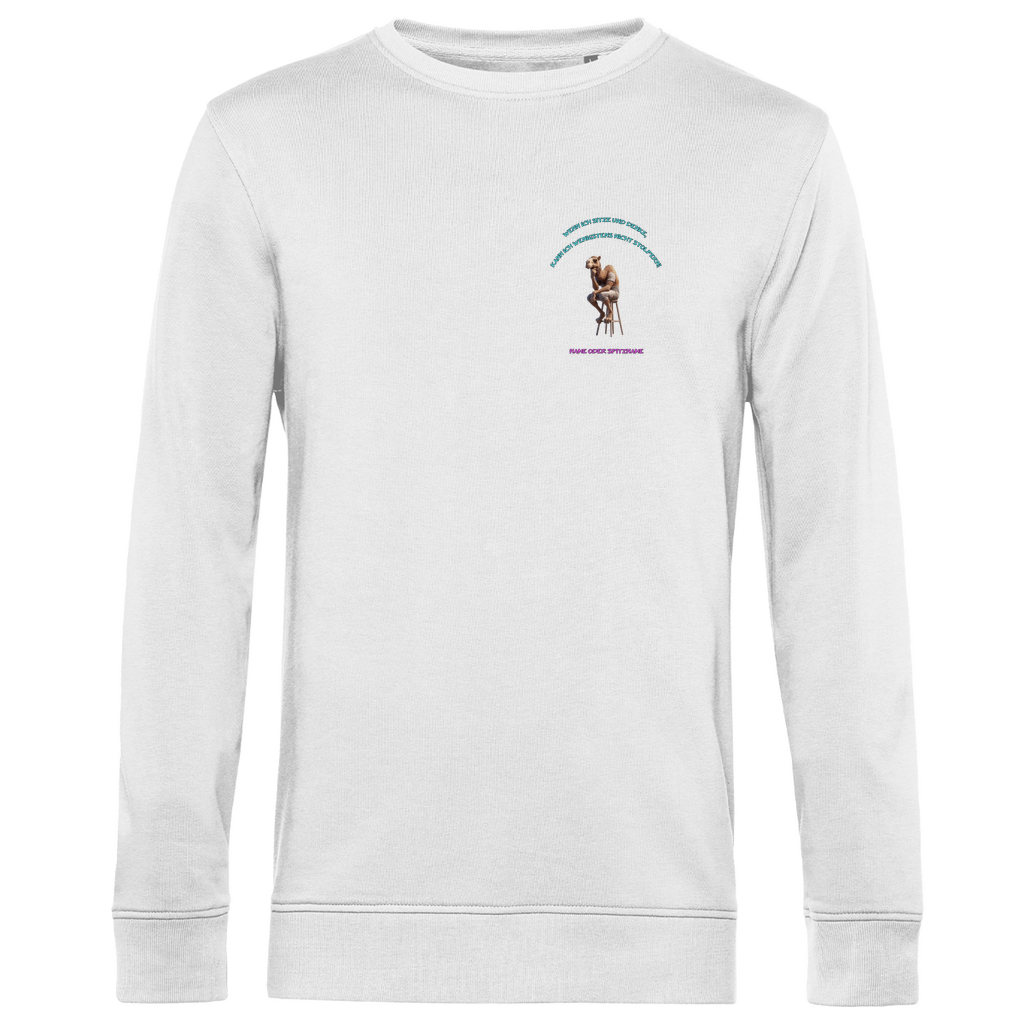 Modell Karl  * Elnika Herren Bio Sweatshirt  * Denkerpose