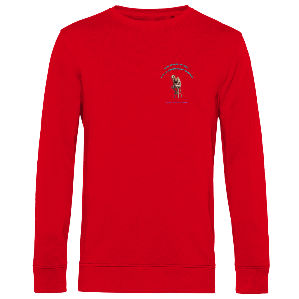 Modell Karl  * Elnika Herren Bio Sweatshirt  * Denkerpose
