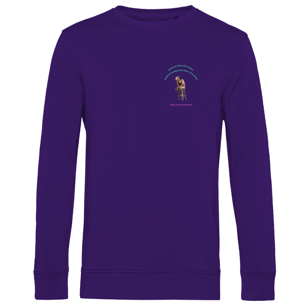 Modell Karl  * Elnika Herren Bio Sweatshirt  * Denkerpose
